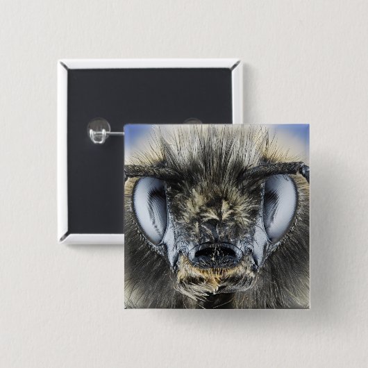 Kopf der Hummel Button (Vorne & Hinten)