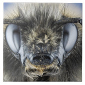 Kopf der Hummel Fliese (Vorderseite)