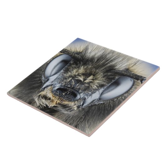 Kopf der Hummel Fliese (Seite)