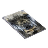 Kopf der Hummel Notizblock (Rechte Seite)