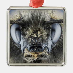 Kopf der Hummel Silbernes Ornament