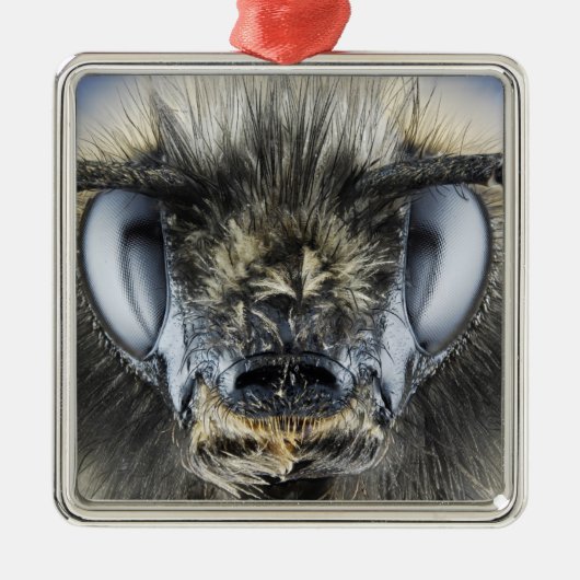 Kopf der Hummel Silbernes Ornament (Vorne)