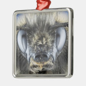 Kopf der Hummel Silbernes Ornament (Links)