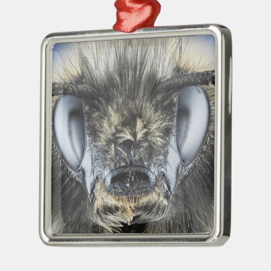 Kopf der Hummel Silbernes Ornament (Links)