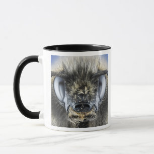 Kopf der Hummel Tasse