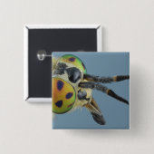 Kopf der Rotwild fliegen Button (Vorne & Hinten)