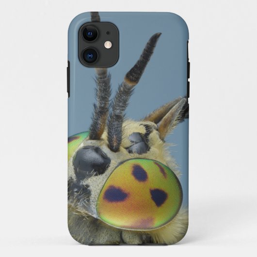 Kopf der Rotwild fliegen Case-Mate iPhone Hülle (Rückseite)
