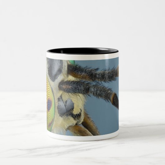 Kopf der Rotwild fliegen Zweifarbige Tasse (Mittel)