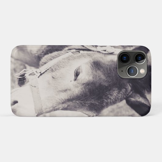 Kopf des Donkey 2001 Case-Mate iPhone Hülle (Rückseite (Horizontal))