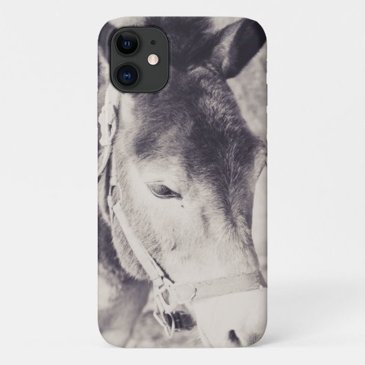 Kopf des Donkey 2001 Case-Mate iPhone Hülle (Rückseite)