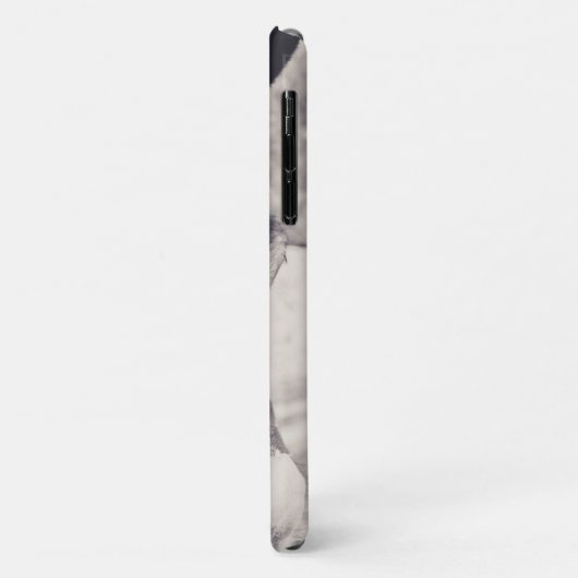 Kopf des Donkey 2001 Case-Mate iPhone Hülle (Hinten/Links)