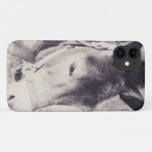 Kopf des Donkey 2001 Case-Mate iPhone Hülle (Rückseite (Horizontal))