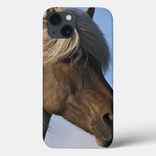 Kopf des isländischen Pferds, Island Case-Mate iPhone Hülle (Rückseite)