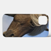 Kopf des isländischen Pferds, Island Case-Mate iPhone Hülle (Rückseite (Horizontal))