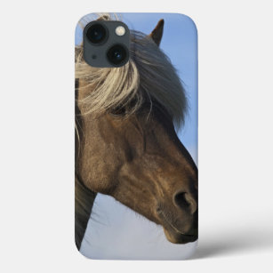 Kopf des isländischen Pferds, Island iPhone 13 Hülle