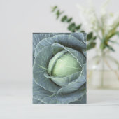 Kopf des Kohls mit Wassertropfen darauf, Postkarte (Stehend Vorderseite)