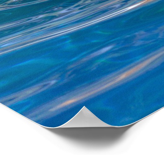 Kopf des Tümmler Poster (Ecke)