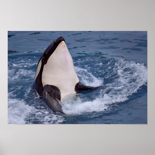 Kopf des Walmörders Poster (Vorne)