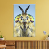 Kopf einer Hirschfliege Leinwanddruck (Insitu (Wohnzimmer))