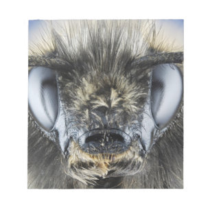 Kopf einer Hummel Notizblock