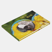 Kopf eines blauen und gelben Macas Gästebuch (Ecke)