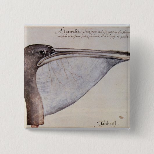 Kopf eines Brown-Pelikans Button (Vorderseite)