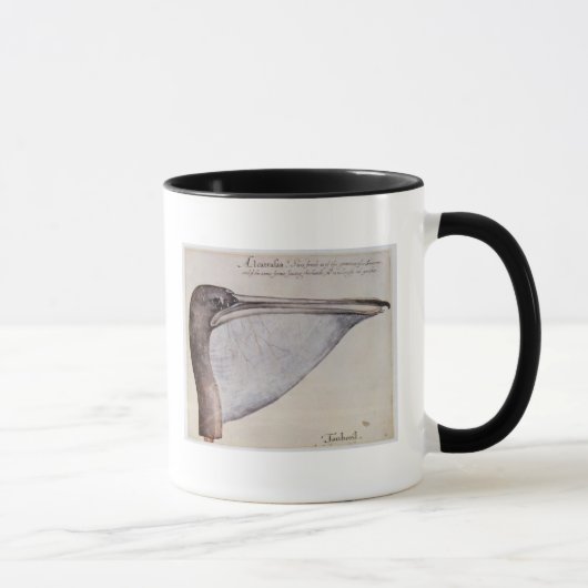 Kopf eines Brown-Pelikans Tasse (Rechts)