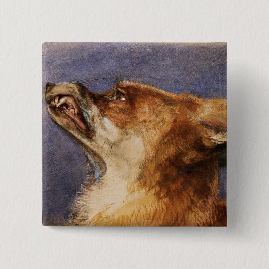 Kopf eines Fox Button (Vorderseite)
