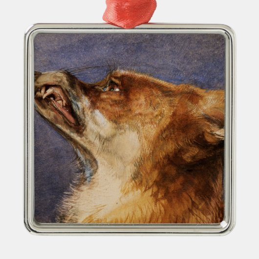 Kopf eines Fox Ornament Aus Metall (Vorne)
