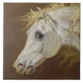 Kopf eines grauen arabischen Pferds (Öl auf Fliese (Vorderseite)