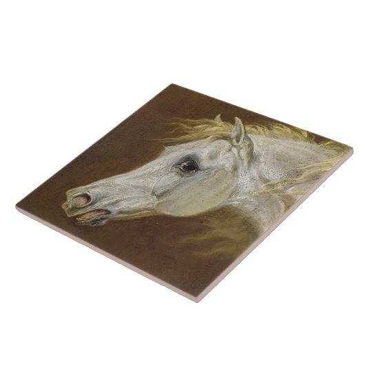 Kopf eines grauen arabischen Pferds (Öl auf Fliese (Seite)