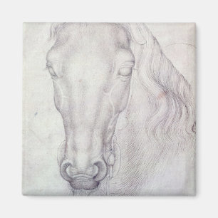 Kopf eines Pferds Magnet