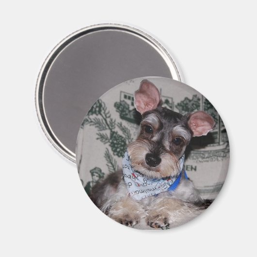 Kopf gecockt magnet (Vorderseite/Rückseite)