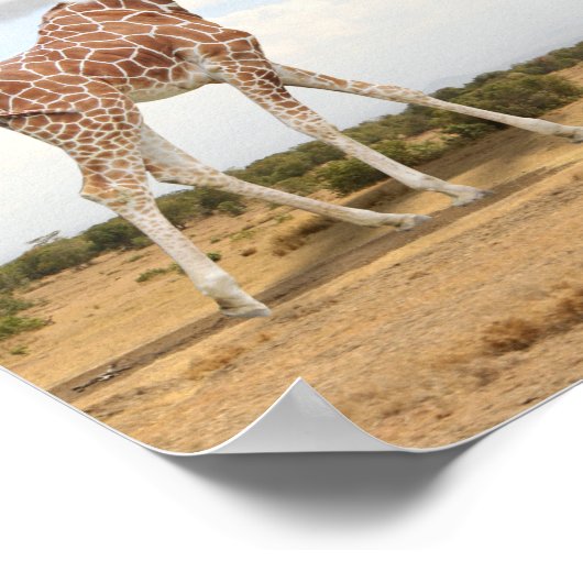 Kopf in Clouds Giraffe Poster (Ecke)