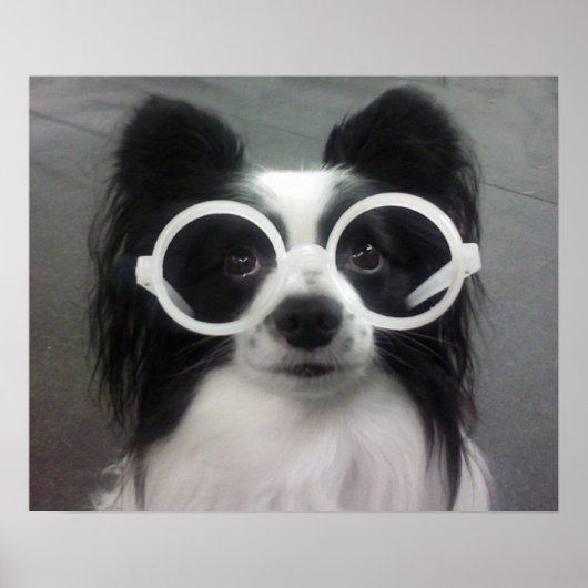 KOPF IN SHADES POSTER (Vorne)