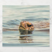 Kopf Oberhalb Wasser Schildkröte Ozean Wildlife Ar Bierflaschenetikett (Einzelnes Label)