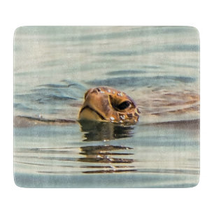 Kopf Oberhalb Wasser Schildkröte Ozean Wildlife Ar Schneidebrett