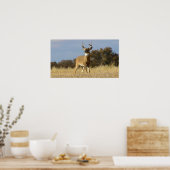 Kopf-Poster Poster (Küche)