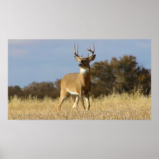 Kopf-Poster Poster (Vorne)