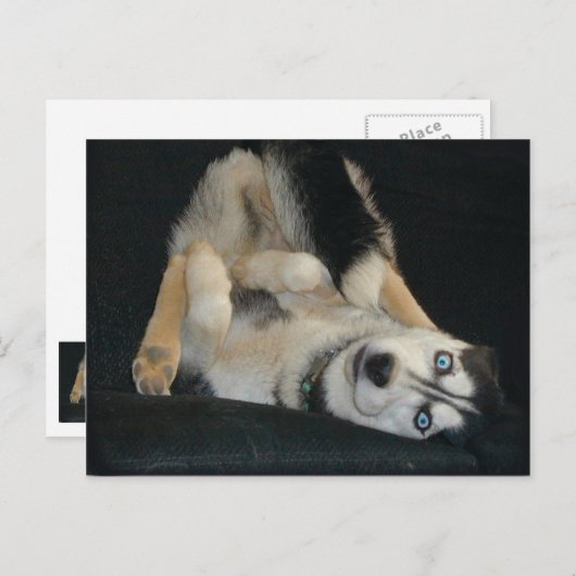 Kopf-über-Hefe-Postkarten Postkarte (Vorne/Hinten)