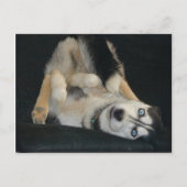 Kopf-über-Hefe-Postkarten Postkarte (Vorderseite)