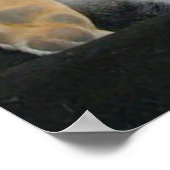 Kopf-über-Kopf-Poster Poster (Ecke)