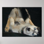 Kopf-über-Kopf-Poster Poster (Vorne)