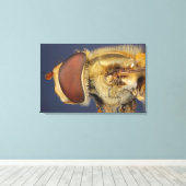 Kopf- und Compound Eye eines Hover Fly Leinwanddruck (Insitu (Holzboden))