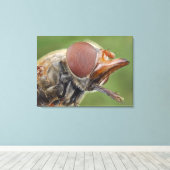 Kopf- und Mischauge eines Hover Fly 2 Leinwanddruck (Insitu (Holzboden))