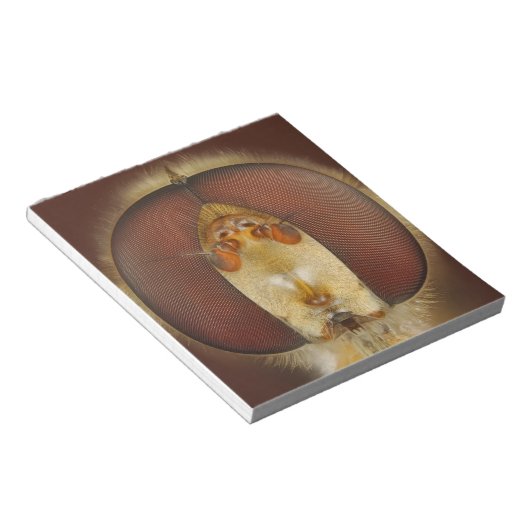 Kopf- und Mischaugen eines Hover Fly Notizblock (angewinkelt)