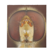 Kopf- und Mischaugen eines Hover Fly Notizblock (Vorderseite)