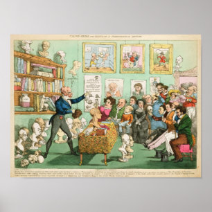 Köpfe und Gehirne von Kälbern; eine phrenologische Poster