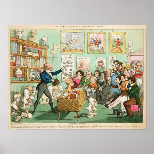 Köpfe und Gehirne von Kälbern; eine phrenologische Poster (Vorne)