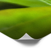 Kopffüßer, Poster (Ecke)